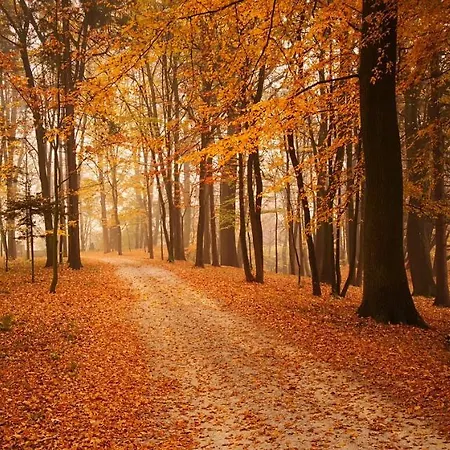Dwor فندق Sieraków