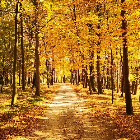 Dwor Sierakow (Lesser Poland)