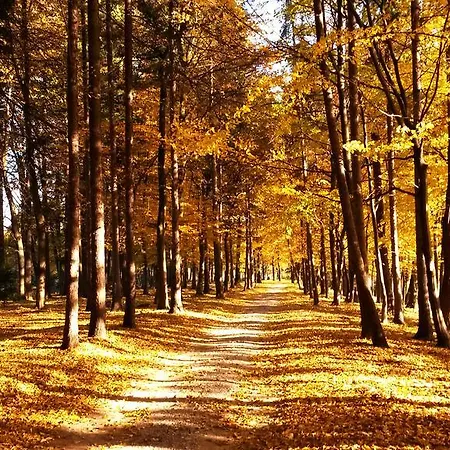 Dwor Sierakow (Lesser Poland)