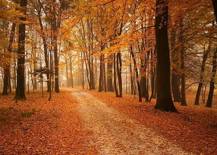 Dwor Hotell Sieraków